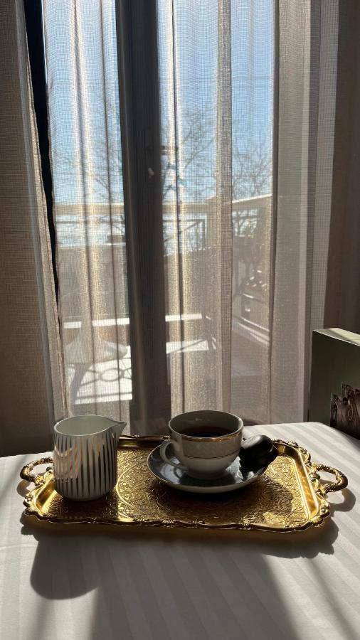 Villa-Sofia Mini-Hotel أوديسا المظهر الخارجي الصورة
